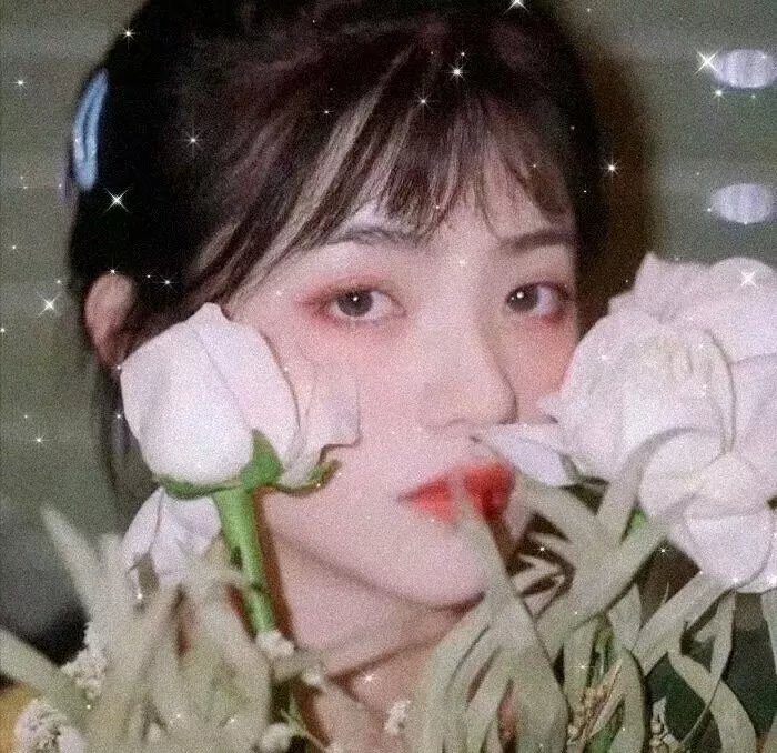 蝴蝶梦