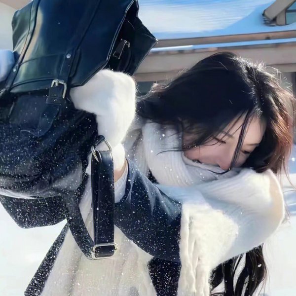 屋顶里的散步者